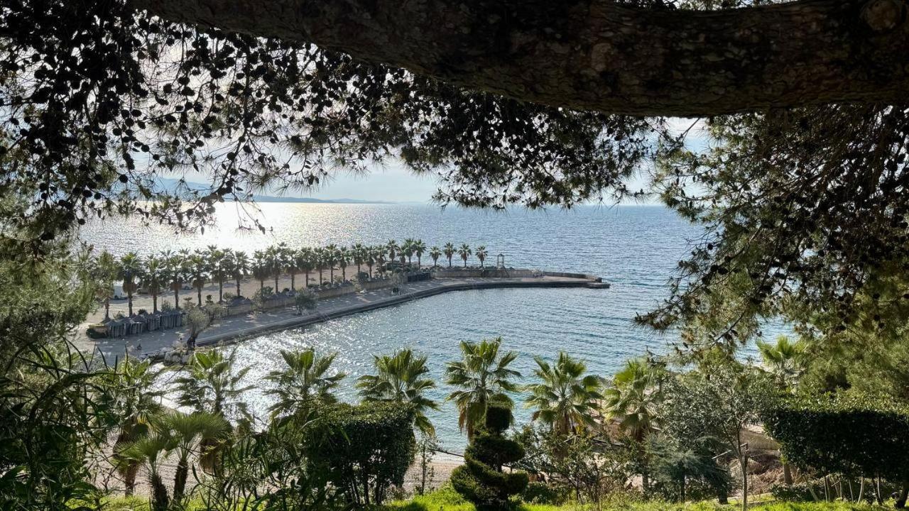 White - Sarande